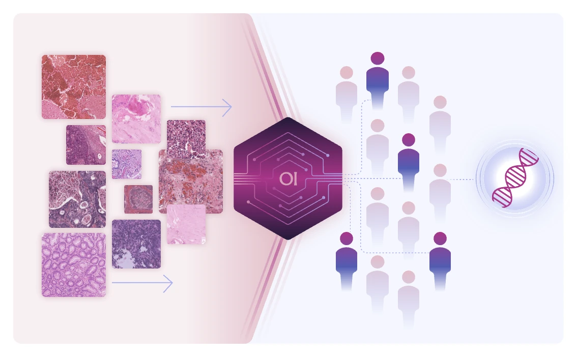 H&E tissue tiles pass through the OI model, which identifies the patients in a cohort who carry a genomic alteration.