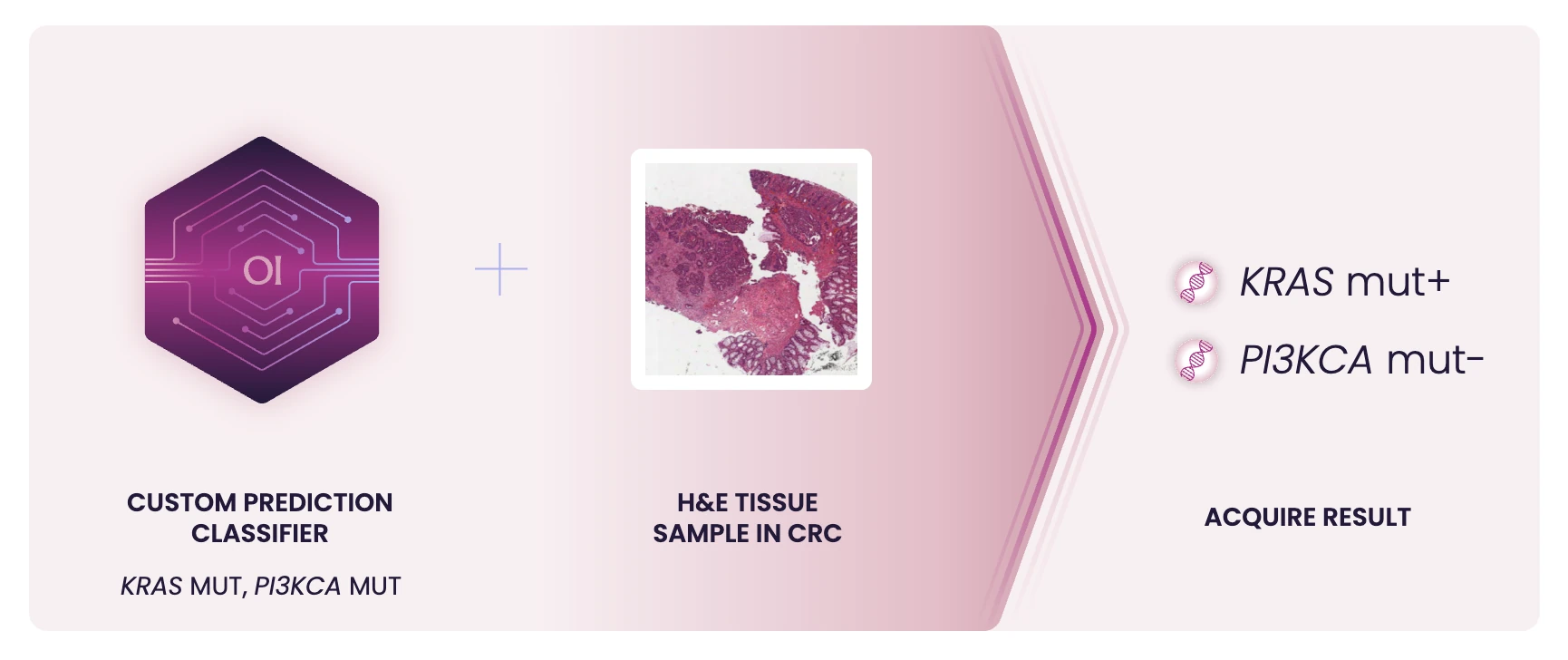 A custom prediction classifier for KRAS and PI3KCA mutations is applied to an H&E tissue sample in colorectal cancer to acquire a KRAS mutation-positive, PI3KCA mutation-negative result.