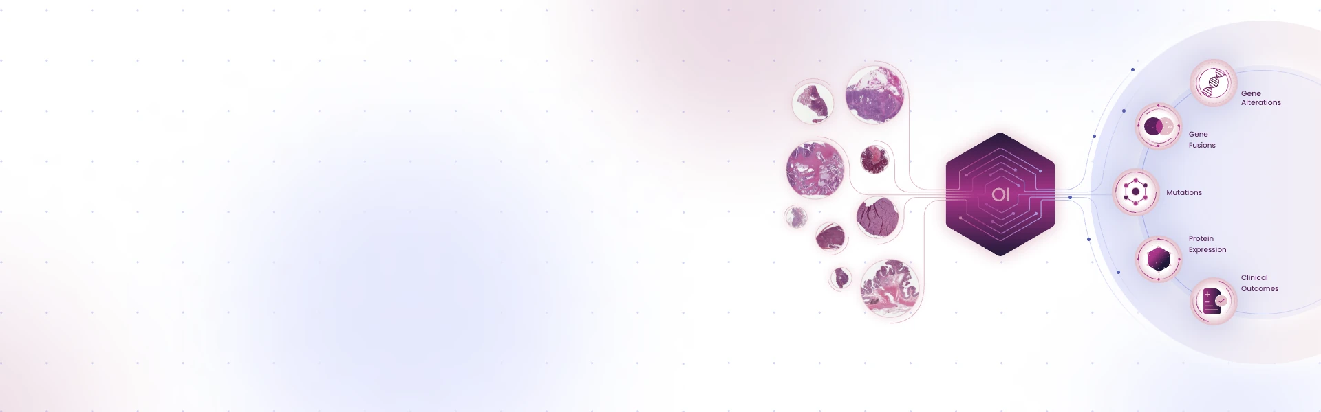 H&E tissue samples feed the OI model, which predicts gene alterations, gene fusions, mutations, protein expression and clinical outcomes.