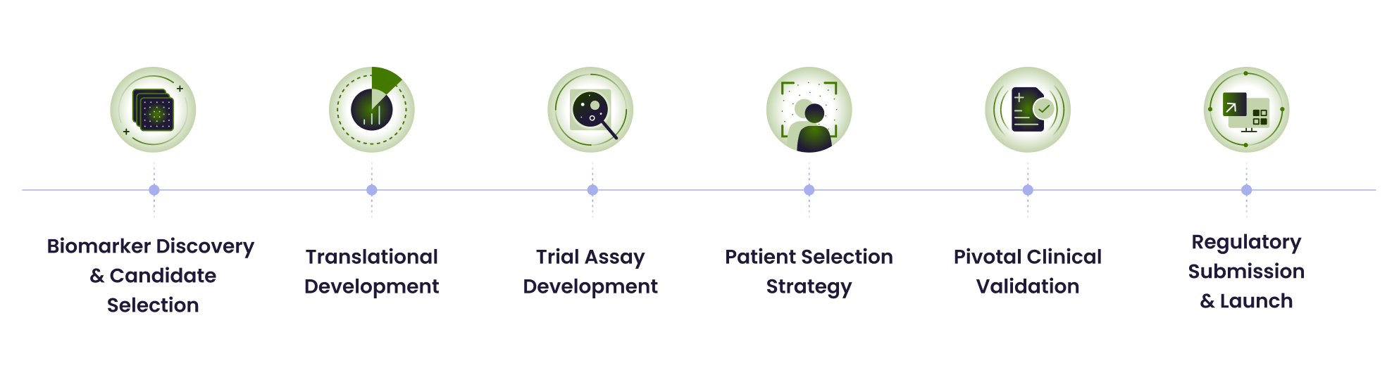 Companion diagnostic development from biomarker discovery and translational development through trial assay, patient selection, pivotal validation, regulatory submission and launch.