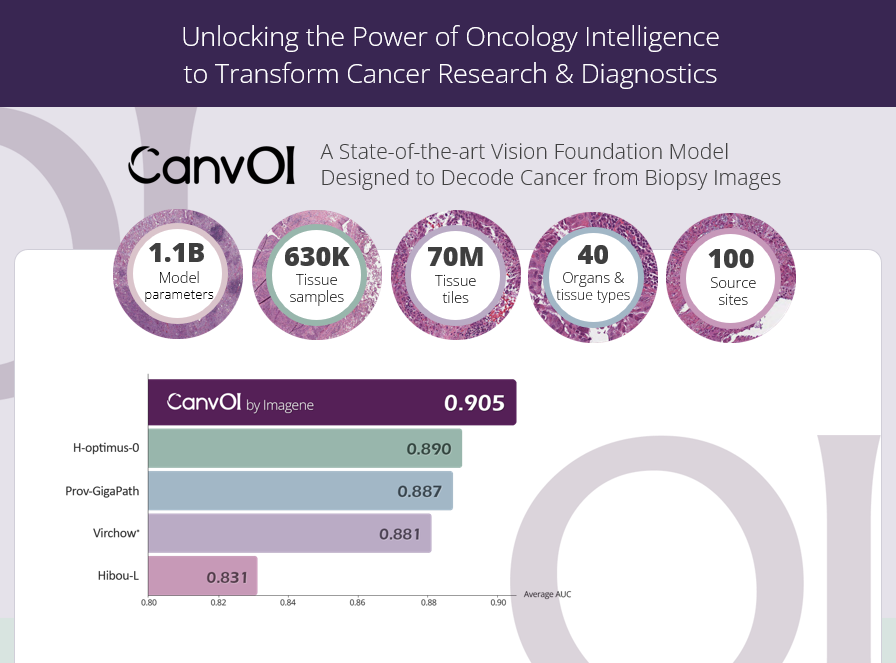 CanvOI-strip